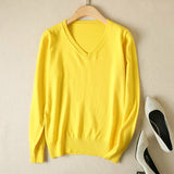 Long Sleeve V-Neck